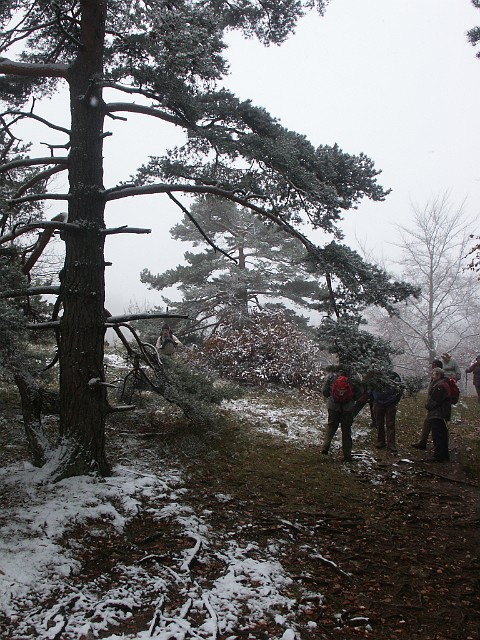 Raichberg 2007 Bild 19